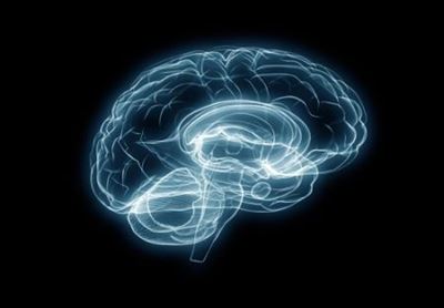 Bigger brains don’t mean Higher IQ Bigger brains don’t mean Higher IQ