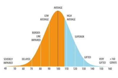 Iq Test Score Chart